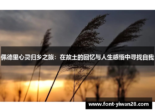 佩德里心灵归乡之旅：在故土的回忆与人生感悟中寻找自我