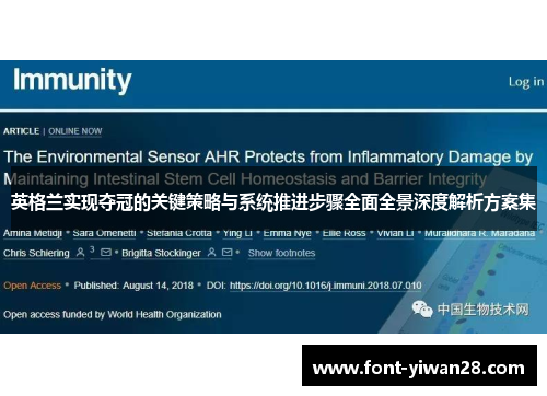 英格兰实现夺冠的关键策略与系统推进步骤全面全景深度解析方案集 英格兰实现夺冠的关键策略与系统推进步骤全面全景深度解析方案集